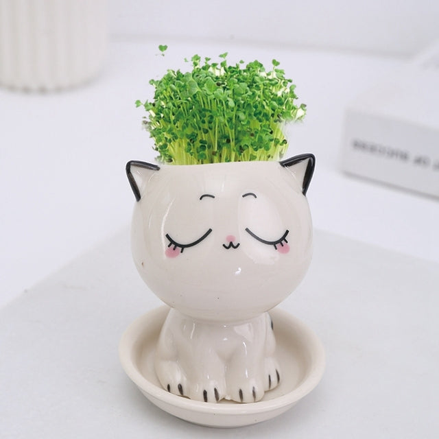 Mini Cat Shaped Cartoon Ceramic Flowerpot